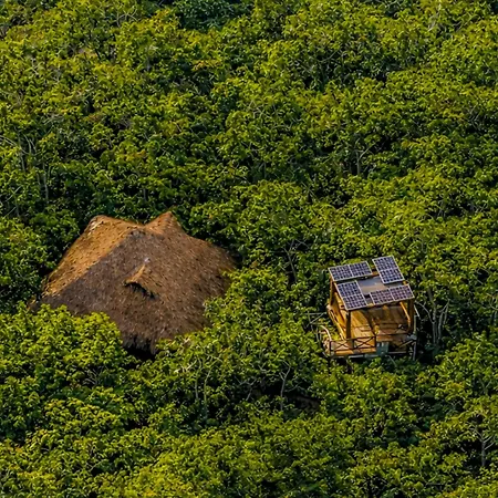 Treehouse H2ojos Tulum