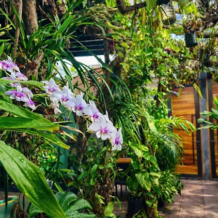 Kasa Nikte Apartment Tulum