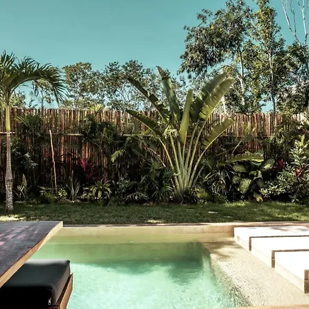 Enchanting 4br Villaδ Pool& Rooftopδprime Location Tulum