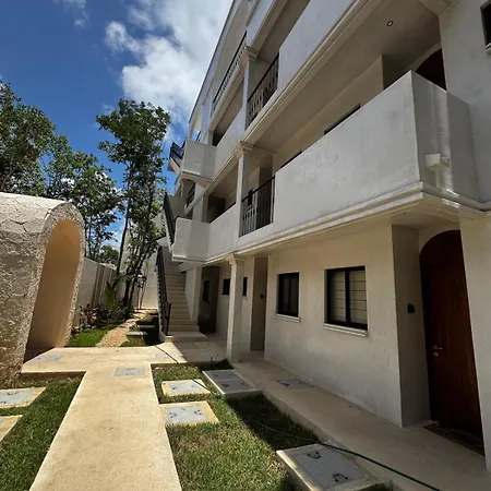 Jungle Loft With Pool And Rooftop Near And Cenotes And Dowtown! Fast Wifi! Perfect For Expats Apartment Tulum