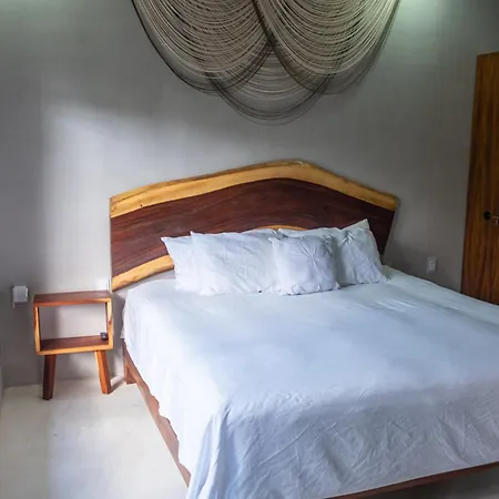 Jungle Ph Private Rooftop & Plunge Pool Ac Wifi Tulum