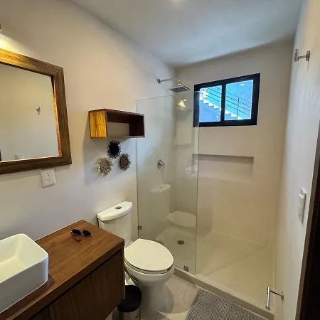 Jungle Loft With Pool And Rooftop Near And Cenotes And Dowtown! Fast Wifi! Perfect For Expats Apartment