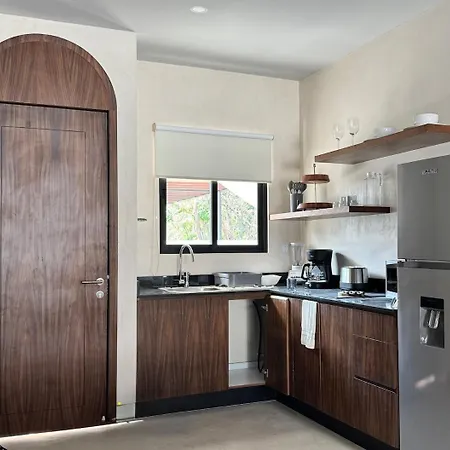 Jungle Loft With Pool And Rooftop Near And Cenotes And Dowtown! Fast Wifi! Perfect For Expats Tulum