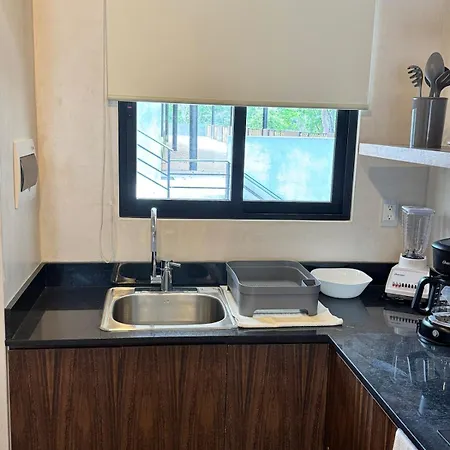 Jungle Loft With Pool And Rooftop Near And Cenotes And Dowtown! Fast Wifi! Perfect For Expats Tulum