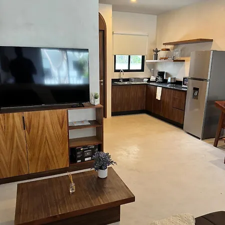 Jungle Loft With Pool And Rooftop Near And Cenotes And Dowtown! Fast Wifi! Perfect For Expats Apartment *