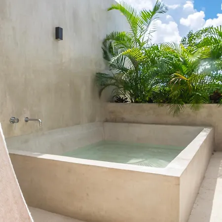 Jungle Ph Private Rooftop & Plunge Pool Ac Wifi * Tulum