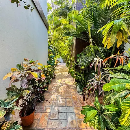 Casa Guadalupe *