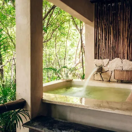 Jungle Sanctuary Wellness Retreat W Pool Bar *