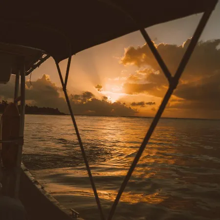 Sunrise Crown