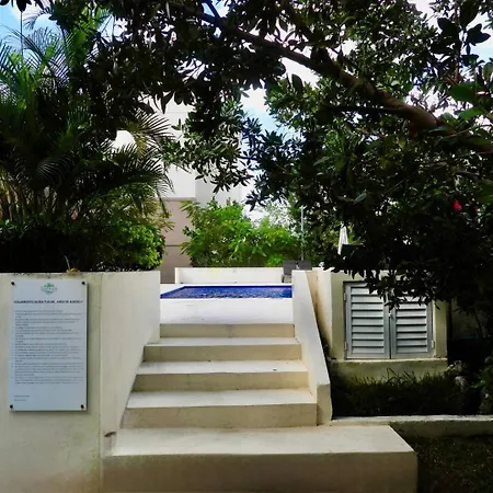 New! Jungle Chic Retreat In Aldea