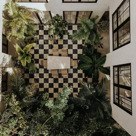 Casa Selva Grande Tulum