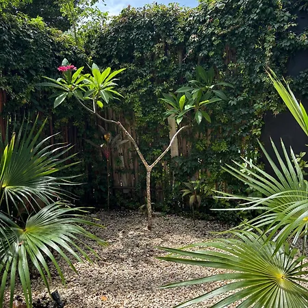 Miel 14 Villa Tulum