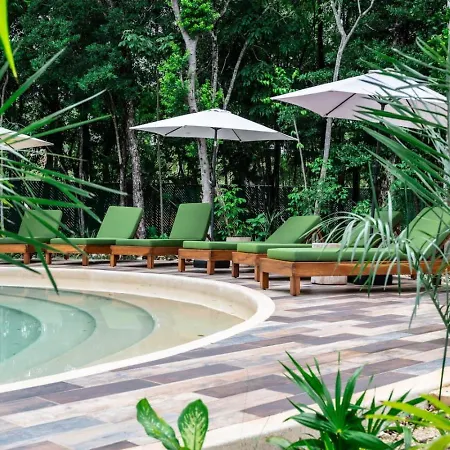 Stylish 1bd Retreat With Swim-up Pool Holiday home