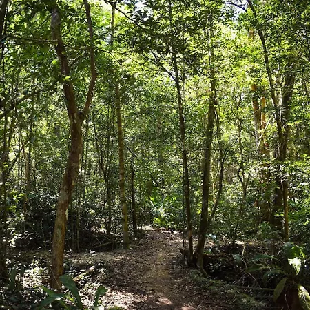 Apartment Beautiful House In The Heart Of The Jungle - Ya'axnik