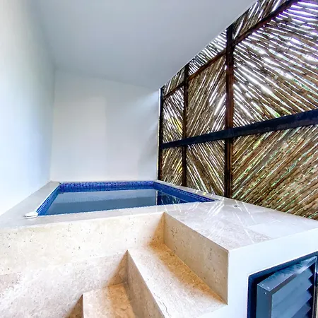 Apartment Premium With Private Plunge Pool
