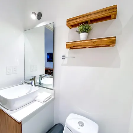 Premium With Private Plunge Pool Apartment Tulum