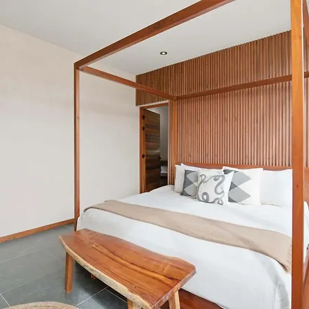 Penthouse With Rooftop Plunge Pool - Distant Ocean