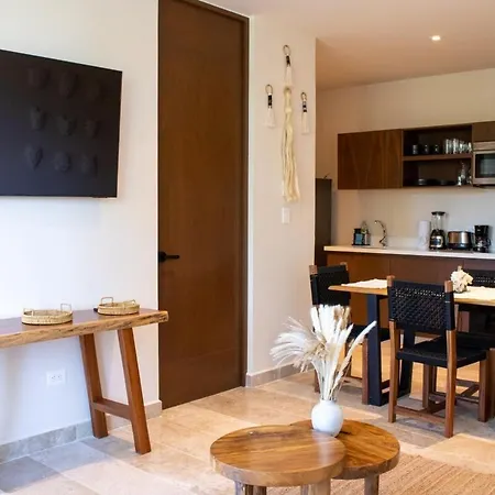 Apartamento Peregrina 301b 1br