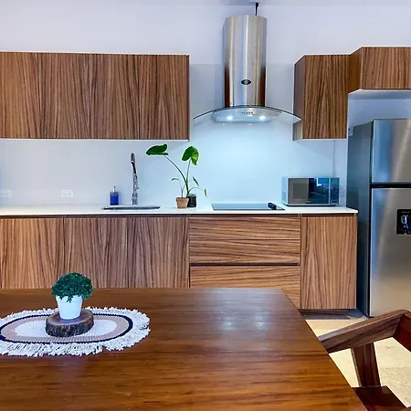 Premium With Private Plunge Pool Apartment