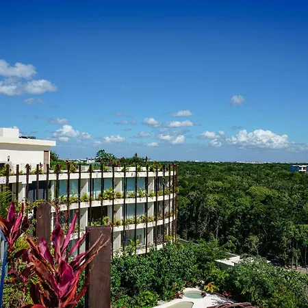 Oasis Jungle Views, 4 Pools & Near Apartment