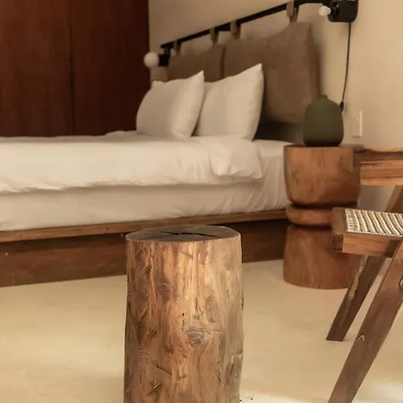 Apartment Bt Homes - - De Lujo En La Selva Con Piscina
