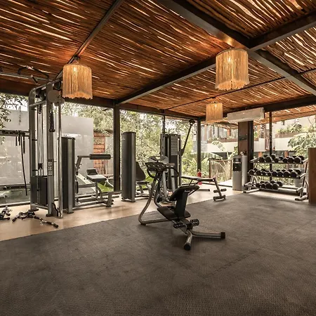Apartment Siwa Jungle-luxury 2br Retreat With Private Roofto