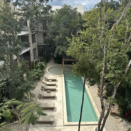 Apartment Penthouse In La Valeta With Rooftop & Plunge Pool Tulum