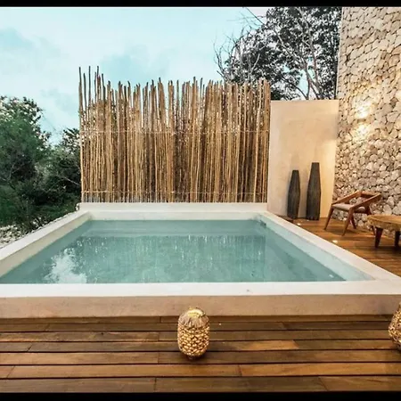 Depa 2 Rec Y Alberca Privada En Veleta * Tulum