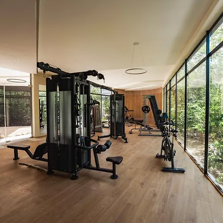 Amira Luxury 3br Ph With Rooftop Pool & Shared Gym Apartment Tulum
