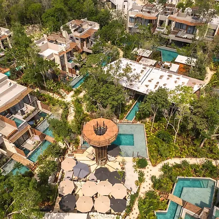 Siwa Jungle-luxury 2br Retreat With Private Roofto Apartment
