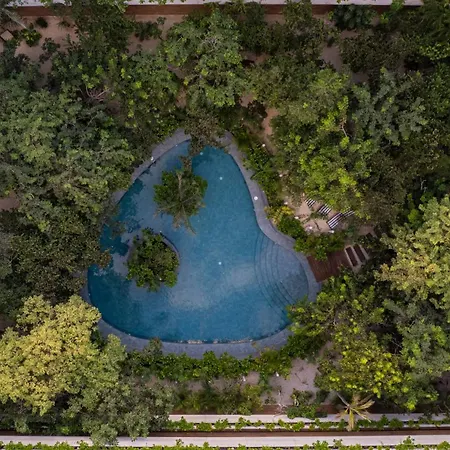 Luxury 2 Bd Roof Private Pool - Jungle View * Tulum