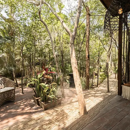 Siwa Jungle-luxury 2br Retreat With Private Roofto Apartment