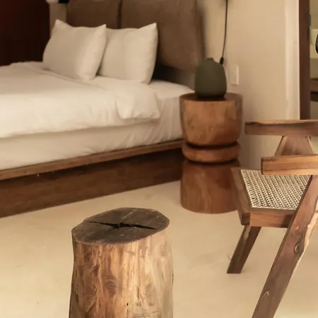 Bt Homes - - De Lujo En La Selva Con Piscina