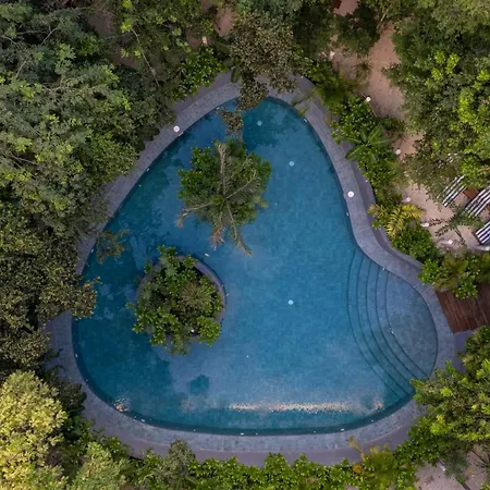 Luxury 2 Bd Roof Private Pool - Jungle View Apartment Tulum
