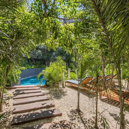 Apartment Luxury 2 Bd Roof Private Pool - Jungle View