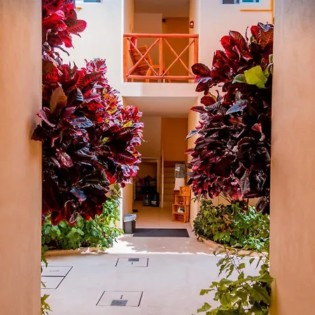 Apartahotel Nah 4*