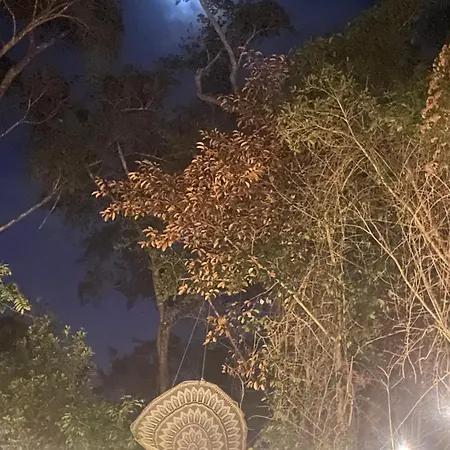 Casa Tzalam Selva 4*