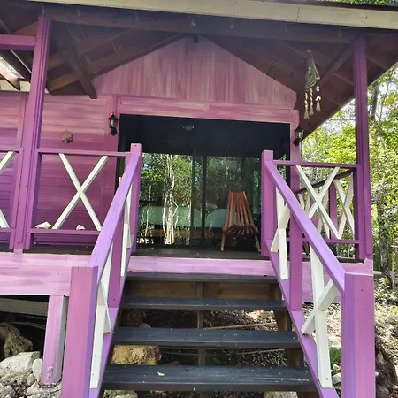 Energy Holistic Ranch