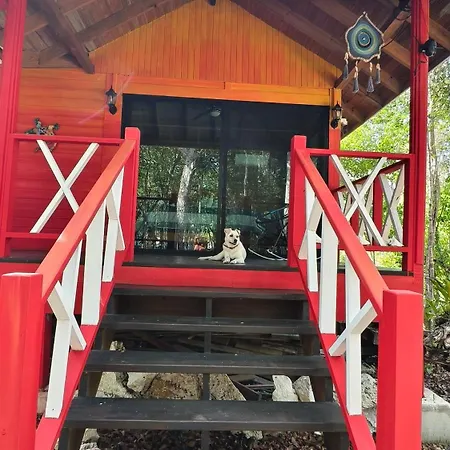 Energy Holistic Ranch Hotel *