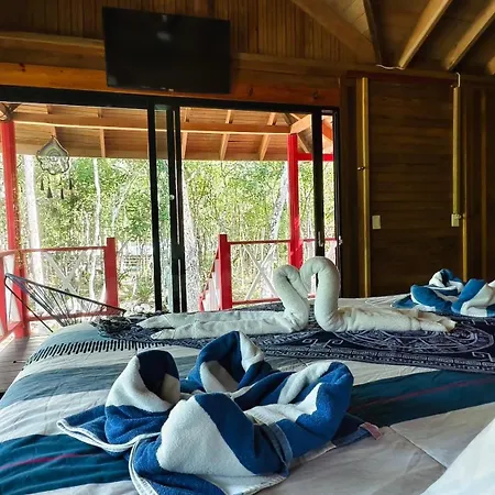 Energy Holistic Ranch Tulum