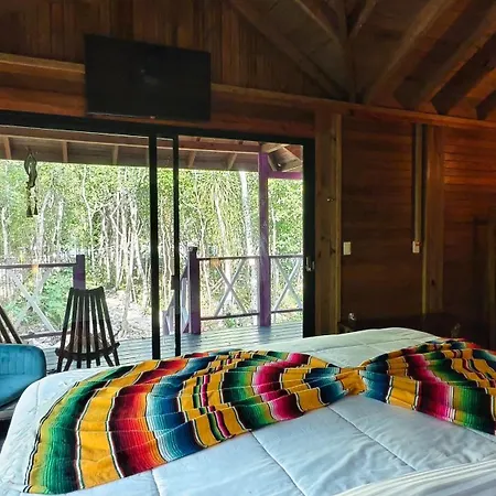 Energy Holistic Ranch