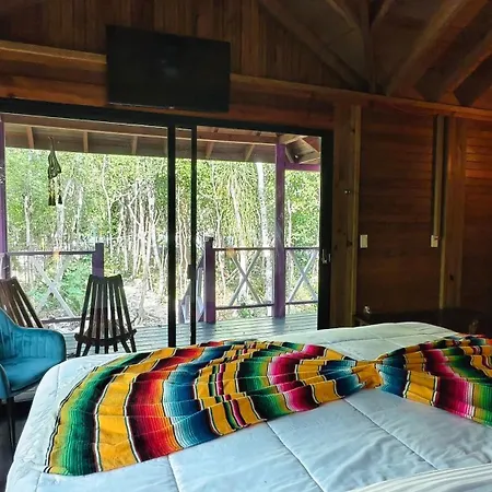 Energy Holistic Ranch *