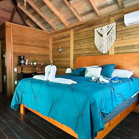 Energy Holistic Ranch Tulum
