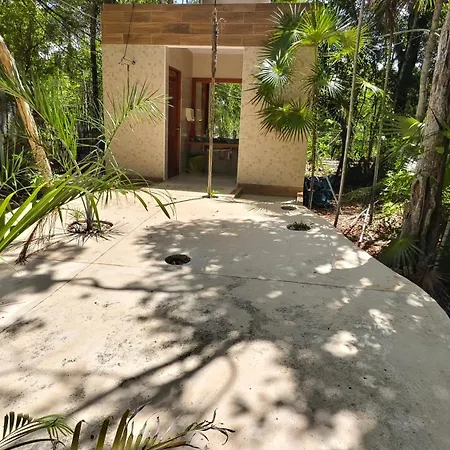 Energy Holistic Ranch