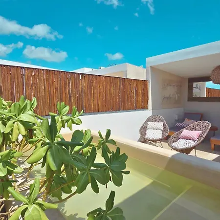 Apartment Luxury Penthouse 3br With Private Pool & Rooftop La Veleta