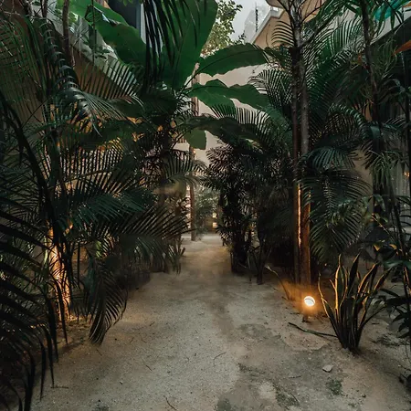 Naj Boutique - Aldea Zama