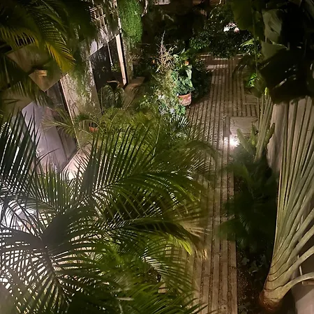 Paraiso Aldea Zama Tulum