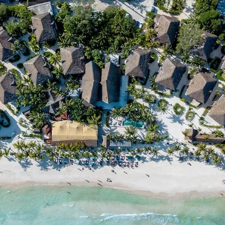 Mia Beachfront - Ocean View And Club Tulum