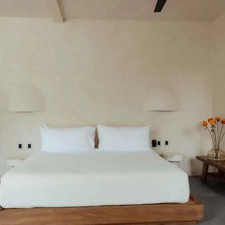 Jashita Luxury Villa *
