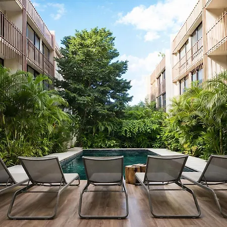 King Studio En Coba Pool, Gym & Garden Hotel *
